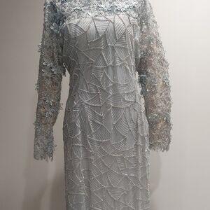 Elegant Lace Overlay Dress
